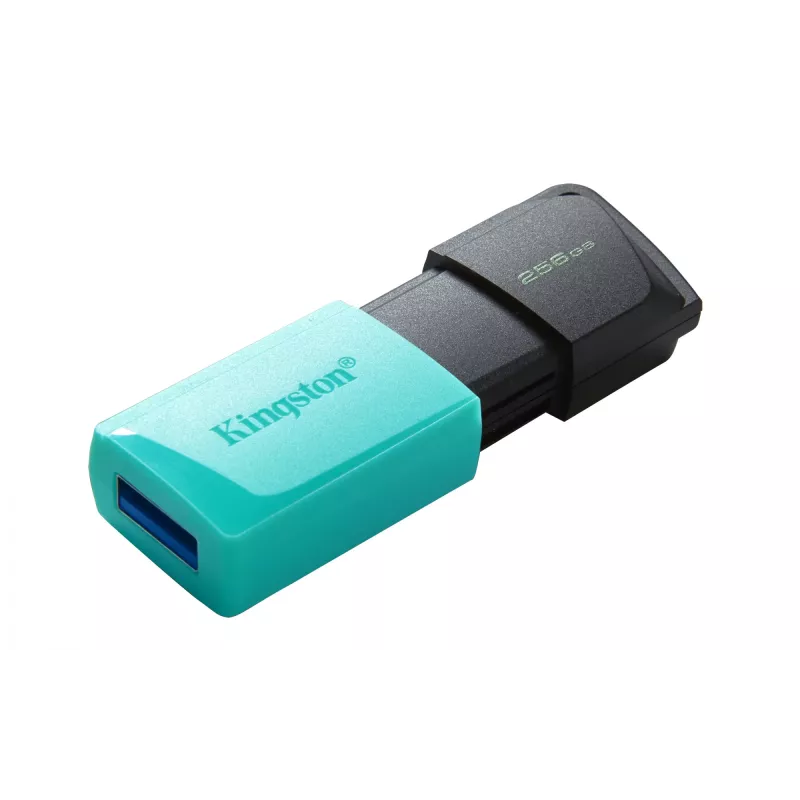 Kingston Technology DataTraveler 256GB USB3.2 Gen1 Exodia M (musta + turkoosi)