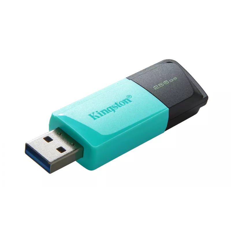 Kingston Technology DataTraveler 256GB USB3.2 Gen1 Exodia M (musta + turkoosi)