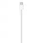 APPLE USB-C-laturikaapeli (1 m)