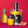 NutriBullet NBJ100G mehulinko 800 W musta, harmaa