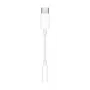 APPLE USB-C - 3,5mm kuulokeadapteri