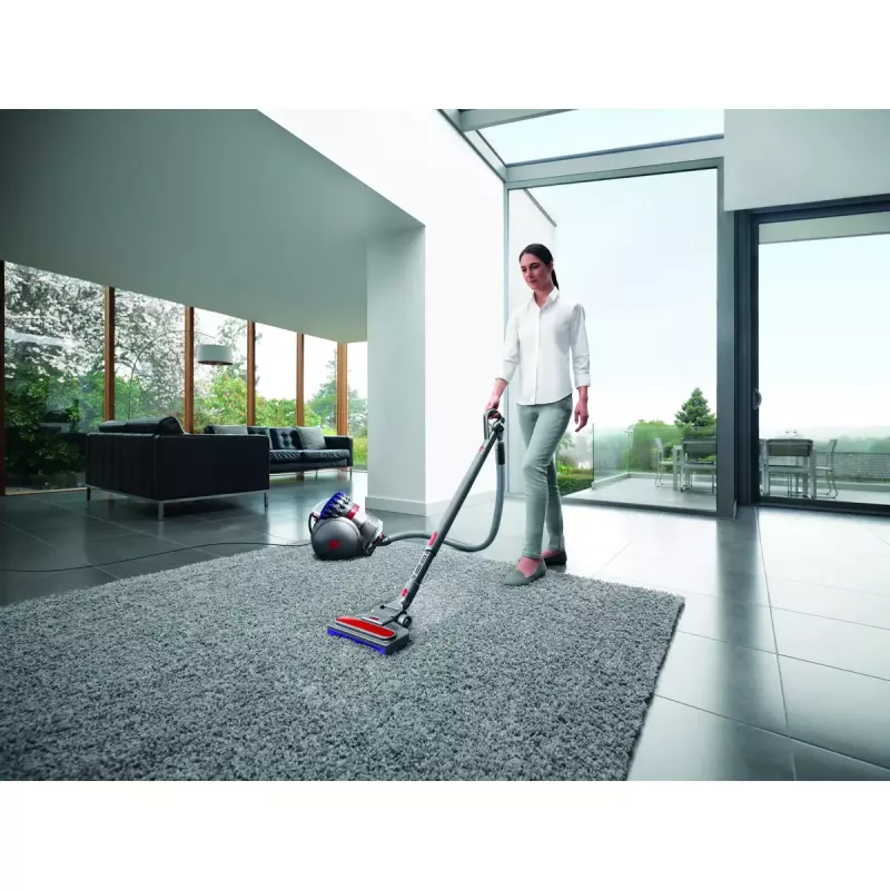 Pölynimuri Dyson Big ball Parquet 2