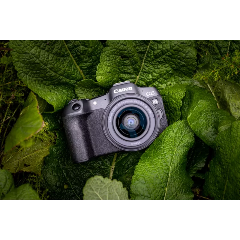 Canon EOS R8, 24,2 MP, 6000 x 4000 pikseliä, CMOS, 4K Ultra HD, kosketusnäyttö, musta