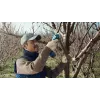 Bosch Pro Pruner Professional langaton ruohosakset 2,5 cm 12 V litiumioni (Li-Ion) sininen