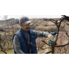Bosch Pro Pruner Professional langaton ruohosakset 2,5 cm 12 V litiumioni (Li-Ion) sininen