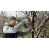 Bosch Pro Pruner Professional langaton ruohosakset 2,5 cm 12 V litiumioni (Li-Ion) sininen