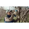Bosch Pro Pruner Professional langaton ruohosakset 2,5 cm 12 V litiumioni (Li-Ion) sininen