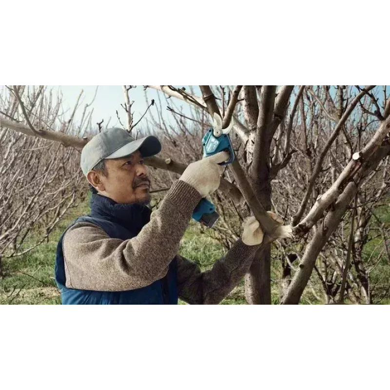 Bosch Pro Pruner Professional langaton ruohosakset 2,5 cm 12 V litiumioni (Li-Ion) sininen