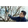 Bosch Pro Pruner Professional langaton ruohosakset 2,5 cm 12 V litiumioni (Li-Ion) sininen