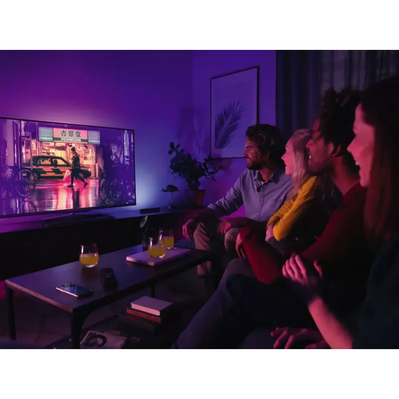 Philips Hue White and Colour Ambience Play Light Bar kaksipakkaus