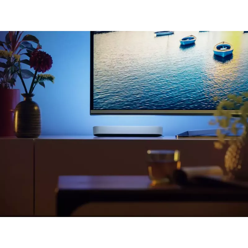 Philips Hue White and Colour Ambience Play Light Bar kaksipakkaus