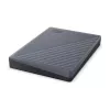 WESTERN DIGITAL kannettava kiintolevy - My Passport - 2 TB - USB-C/A 3.2 Gen 1 - harmaa