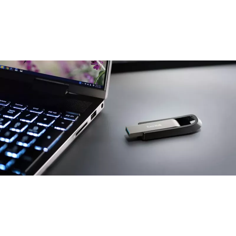 WESTERN DIGITAL SanDisk Ultra Extreme GO - 256GB USB-tikku - USB 3.2