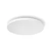 Philips Hue White and colour ambience Datura kattovalaisin suuri