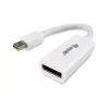 Mini DisplayPort - DisplayPort -adapteri Equip 133440