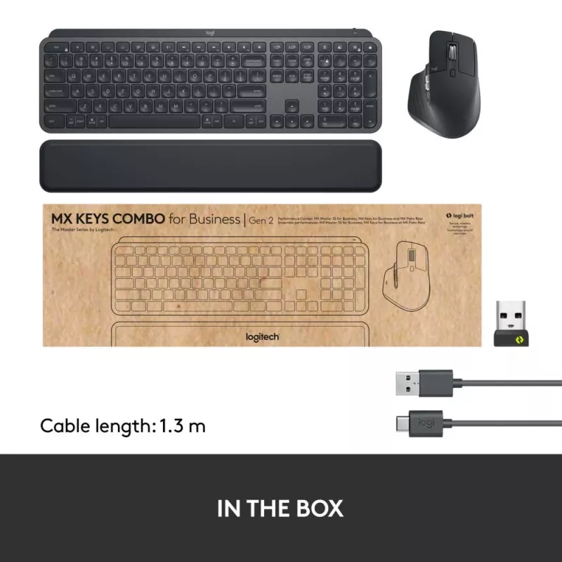 LOGITECH MX Keys Combo For Business Gen 2 - Graphite - Qwertz - saksa