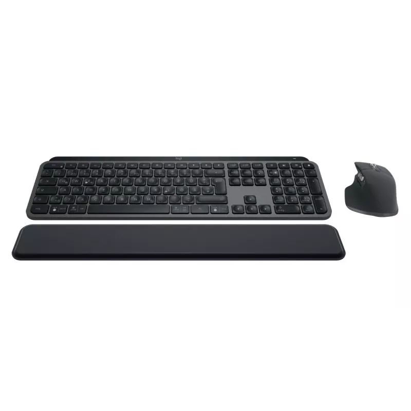 LOGITECH MX Keys Combo For Business Gen 2 - Graphite - Qwertz - saksa