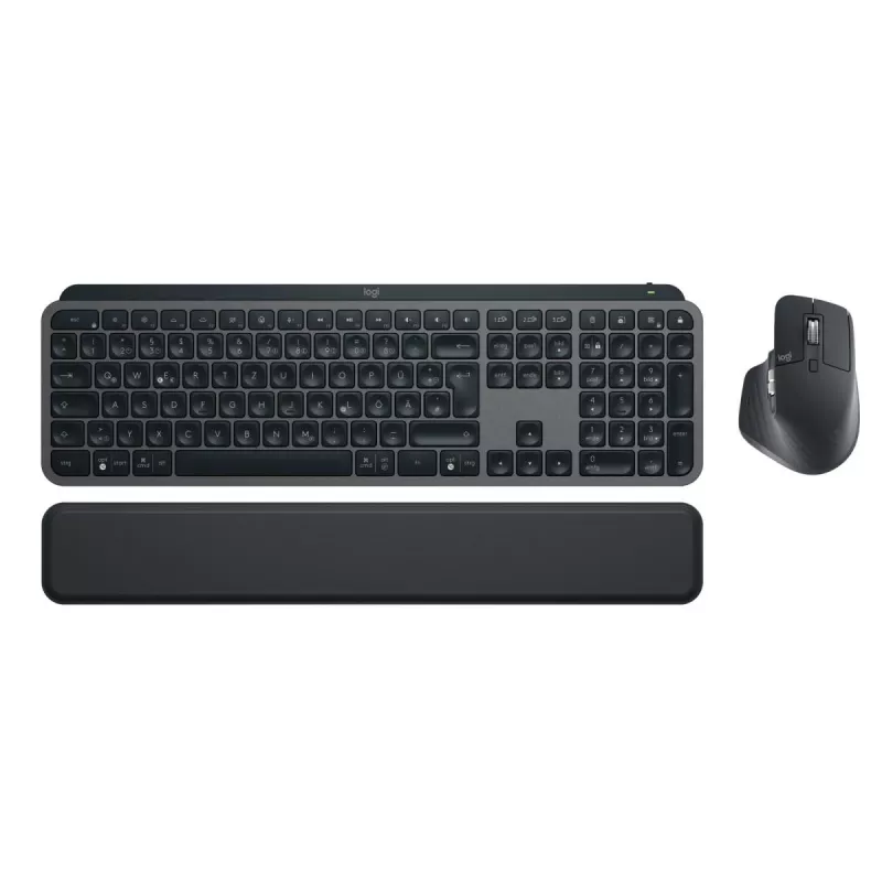 LOGITECH MX Keys Combo For Business Gen 2 - Graphite - Qwertz - saksa