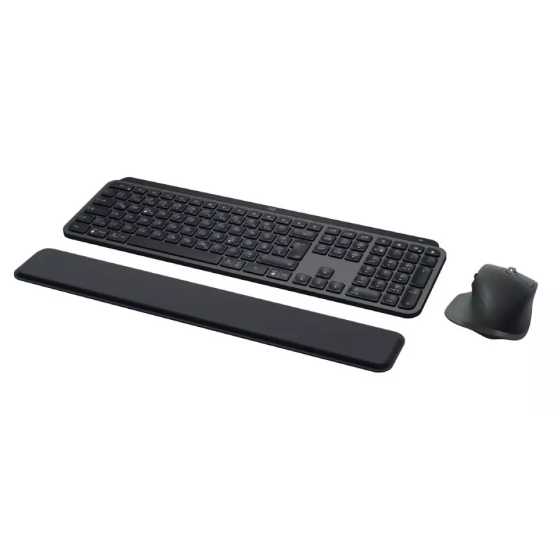 LOGITECH MX Keys Combo For Business Gen 2 - Graphite - Qwertz - saksa