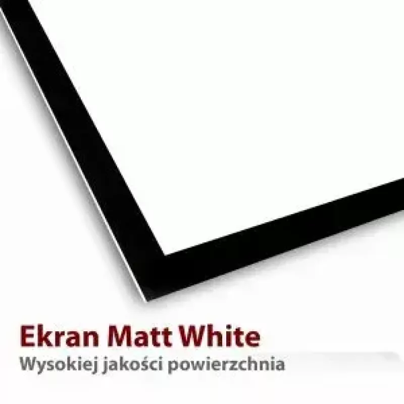 Projektiokangas ART ER T100 4:3