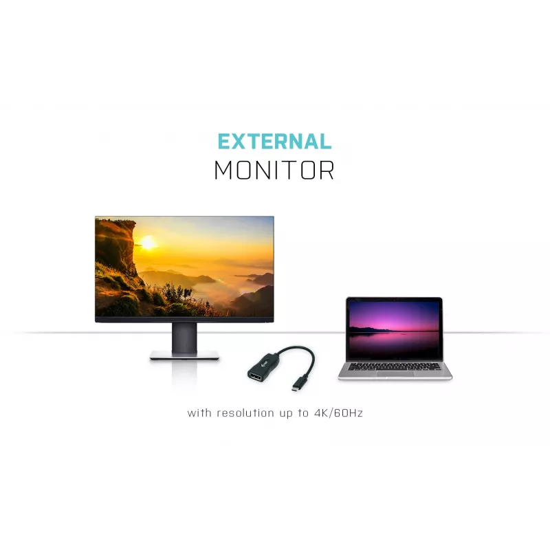 i-tec USB-C Display Port -sovitin 4K/60 Hz