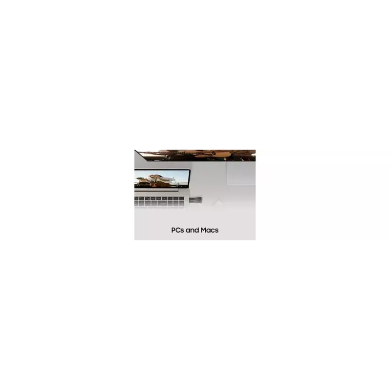 Samsung MUF-256BE USB-muistitikku 256 GB USB Type-A 3.2 Gen 1 (3.1 Gen 1) harmaa