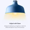 TP-Link Tapo älykäs Wi-Fi-lamppu, himmennettävä