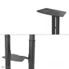 Neomounts PLASMA-M1950E TV-teline 60-100