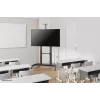 Neomounts PLASMA-M1950E TV-teline 60-100