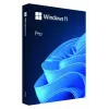 MICROSOFT Windows 11 Pro 64bit - 1 lisenssi - Win - Englanti Intl - USB-tikku