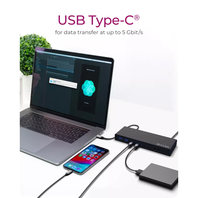 ICY BOX IB-DK2245AC langallinen USB 3.2 Gen 1 (3.1 Gen 1) Type-C musta