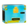 Rainbow High Accessories Studio Series 1, H Assortment PDQ-nukkulaukussa