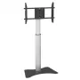 Techly ICA-TR39 lattiatelineen TV:lle, 32–70 tuumaa, 40 kg, VESA 800x400, musta/hopea