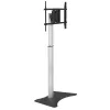 Techly ICA-TR39 lattiatelineen TV:lle, 32–70 tuumaa, 40 kg, VESA 800x400, musta/hopea