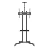Techly ICA-TR216T liikuteltava TV-teline pyörillä 37–70 tuuman (enintään 177,8 cm) näytöille, enintään 50 kg, 2 hyllyä, musta