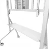 Neomounts MOVE Go XL FL50-575WH1 TV-teline, 65-110 tuumaa, enint. 125 kg, VESA 100x100-1100x600, korkeus säädettävissä 129-139 cm, lukittava, nopea asennus, TÜV-sertifioitu, valkoinen