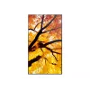 Sharp NEC MultiSync M322 (PN-M322) 32 tuuman (81,3 cm) digitaalisen opastuksen näyttö, Full HD, 450 cd/m², 24/7, musta