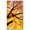 Sharp MultiSync M552 Digital Signage -näyttö 139.7 cm (55 tuumaa) LCD 550 cd/m² 4K Ultra HD musta kosketusnäyttö