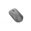 Lenovo Pro Plus 6050 hiiri toimistoon molempikätinen RF langaton + Bluetooth optinen 2400 DPI