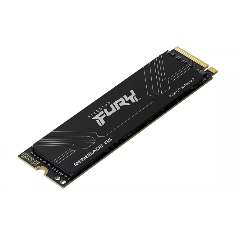 Kingston Technology 8T FURY RENEGADE G5 M.2 2280 NVMe SSD 8 TB 14800 MB/s