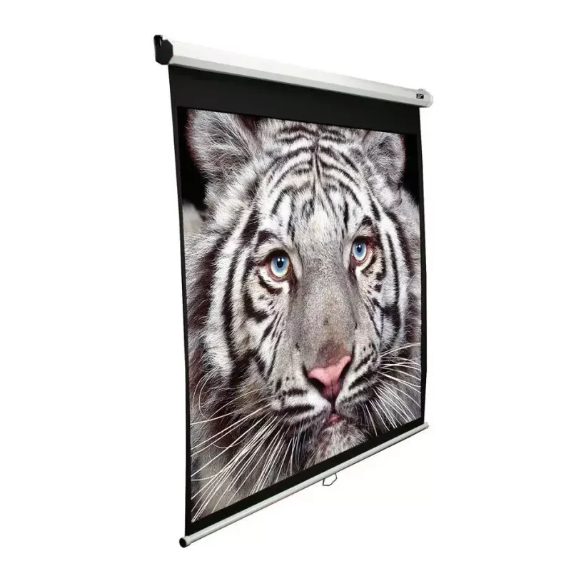 Projektiokangas Elite Screens M99NWS1