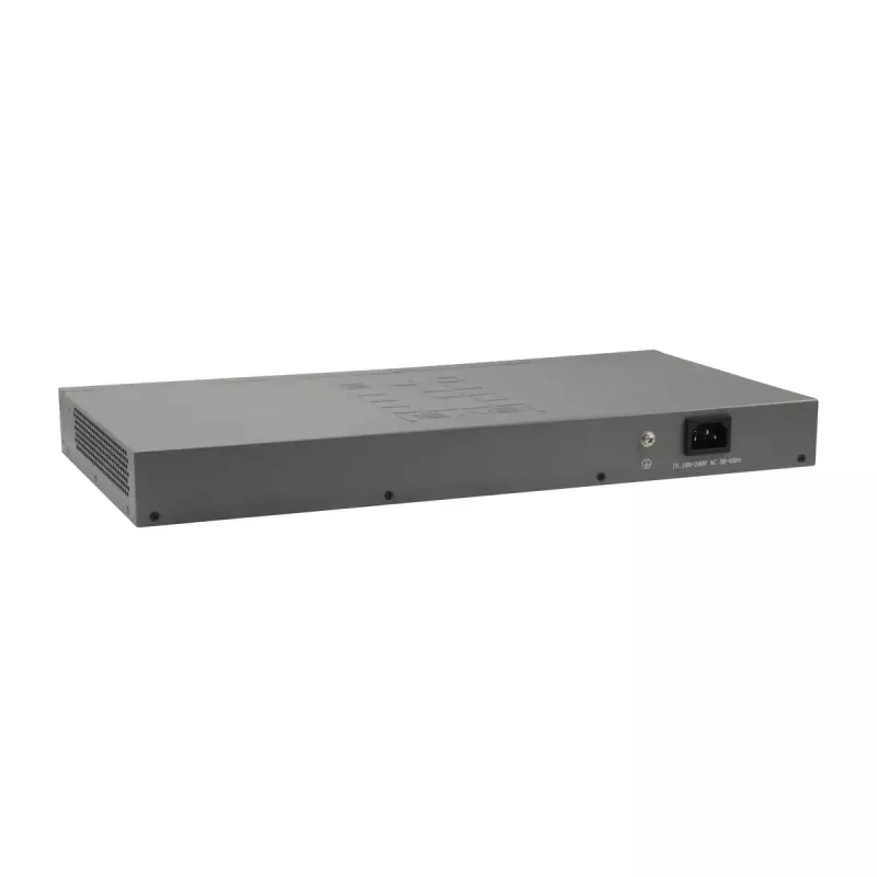 LevelOne 50-porttinen Fast Ethernet -kytkin, 2 x Gigabit SFP/RJ45 Combo