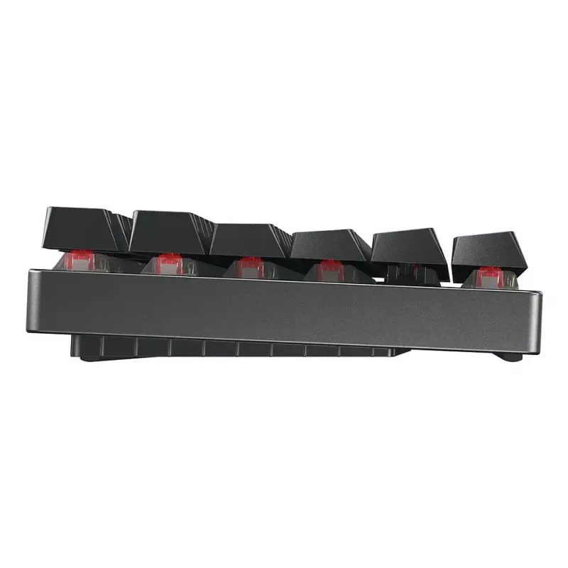 CHERRY MX 8.2 TKL Wireless RGB näppäimistö peli USB + RF Wireless + Bluetooth QWERTZ saksa musta
