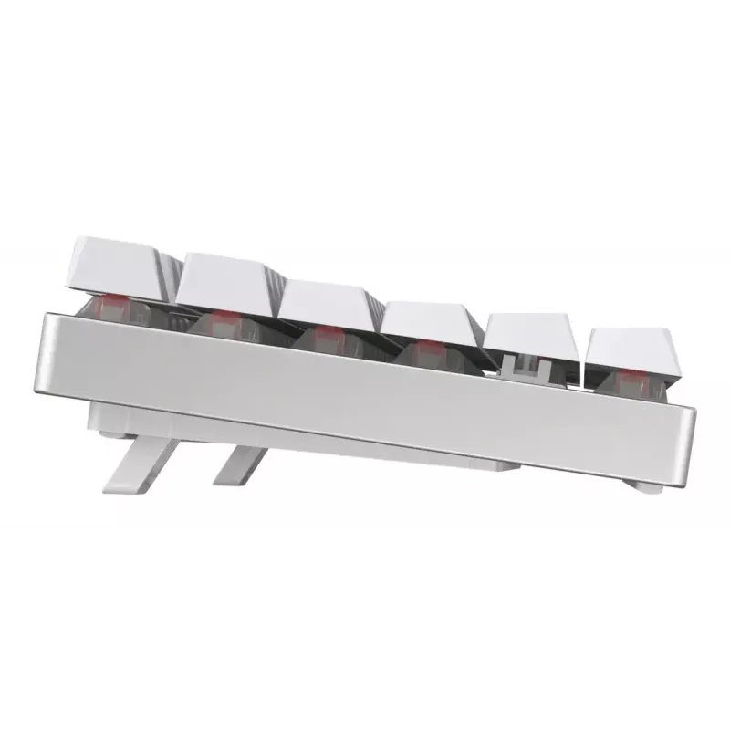 CHERRY MX 8.2 TKL Wireless RGB näppäimistö peli USB + RF Wireless + Bluetooth QWERTZ saksa valkoinen