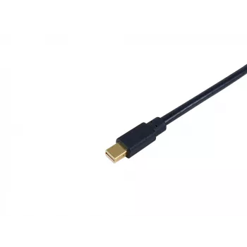 Equip Mini DisplayPort - DisplayPort -kaapeli, M/M, 2,0 m