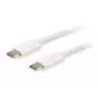Equip Platinum USB Type-C -kaapeli, 2 m, USB C, USB C, USB 3.2 Gen 2 (3.1 Gen 2), 10 Gbit/s, valkoinen