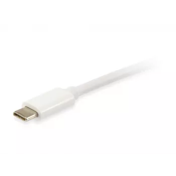 Equip Platinum USB Type-C -kaapeli, 2 m, USB C, USB C, USB 3.2 Gen 2 (3.1 Gen 2), 10 Gbit/s, valkoinen
