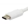 Equip Platinum USB Type-C -kaapeli, 2 m, USB C, USB C, USB 3.2 Gen 2 (3.1 Gen 2), 10 Gbit/s, valkoinen