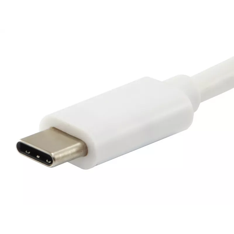 Equip Platinum USB Type-C -kaapeli, 2 m, USB C, USB C, USB 3.2 Gen 2 (3.1 Gen 2), 10 Gbit/s, valkoinen