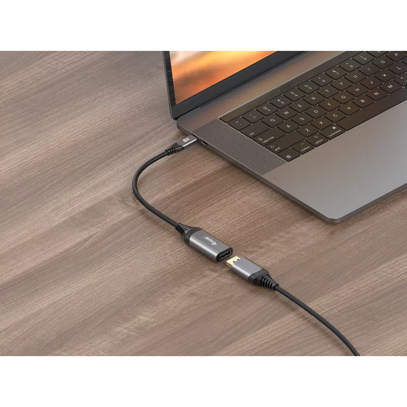 Equip USB-C - DisplayPort 1.4 -adapteri 8K 30Hz 0,15 m